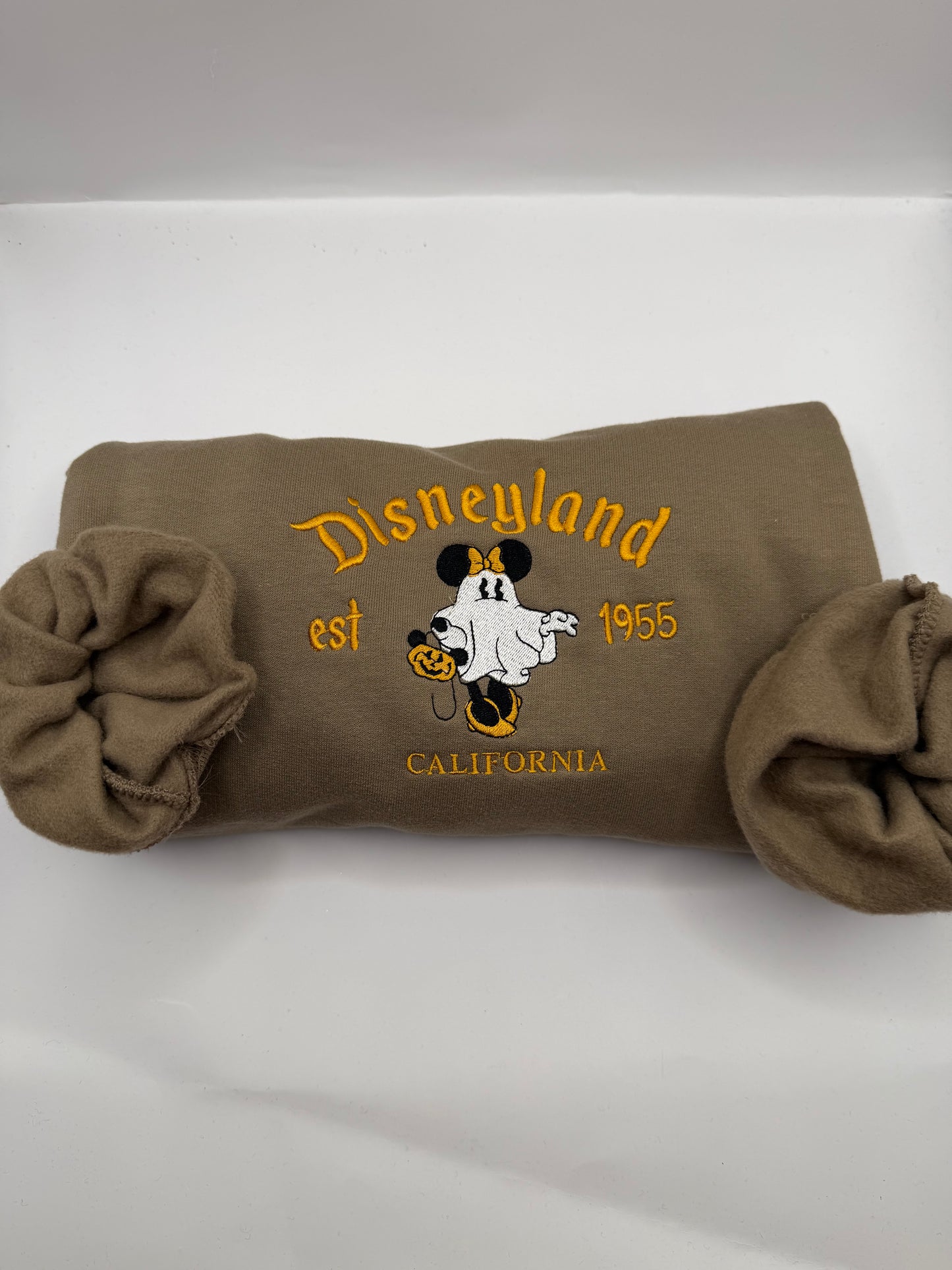 Disneyland Ghost